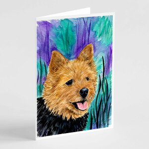 [RDY] [��������] Caroline's Treasures �m�[���b�`�E�e���A �O���[�e�B���O�J�[�h�i�����t���j�A5�C���` x 7�C���`�i8�J�E���g [�y�V�C�O�ʔ�] | Caroline's Treasures Norwich Terrier Greeting Cards with Envelopes, 5