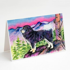 [��������] Caroline's Treasures �`�x�^���E�}�X�e�B�t�E�O���[�e�B���O�J�[�h�i�����t���j�A5�C���` x 7�C���`�i8�J�E���g [�y�V�C�O�ʔ�] | Caroline's Treasures Tibetan Mastiff Greeting Cards with Envelope