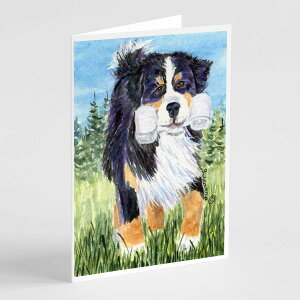 [RDY] [] Caroline's Treasures o[j[YE}EeEhbO O[eBOJ[hitjA5C` x 7C`i8JEg [yVCOʔ] | Caroline's Treasures Bernese Mountain Dog Greeting C