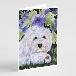 [RDY] [��������] Caroline's Treasures Coton de Tulear �O���[�e�B���O�J�[�h�i�����t���j�A5�C���` x 7�C���`�i8�J�E���g [�y�V�C�O�ʔ�] | Caroline's Treasures Coton de Tulear Greeting Cards with Envelopes, 5 x 7 (8 Cou