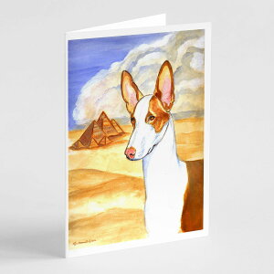 [RDY] [] Caroline's Treasures CrTnEhEO[eBOJ[hitjA5C`x7C`i8JEg [yVCOʔ] | Caroline's Treasures Ibizan Hound Greeting Cards with Envelopes, 5" x 7" (8