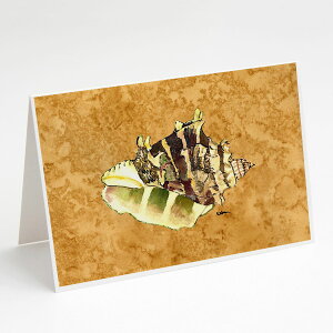 [��������] Caroline's Treasures �V�F���E�O���[�e�B���O�J�[�h�A�����t���A5�C���` x 7�C���`�i8�J�E���g�j [�y�V�C�O�ʔ�] | Caroline's Treasures Shell Greeting Cards with Envelopes, 5" x 7" (8 Count)