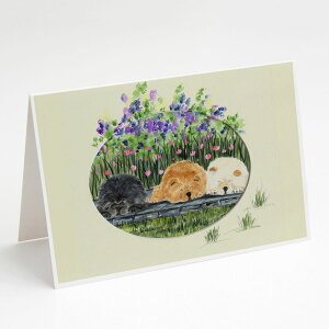 [RDY] [��������] Caroline's Treasures Chow Chow�O���[�e�B���O�J�[�h�i�����t���j�A5�C���` x 7�C���`�i8�J�E���g [�y�V�C�O�ʔ�] | Caroline's Treasures Chow Chow Greeting Cards with Envelopes, 5" x 7" (8 Count)