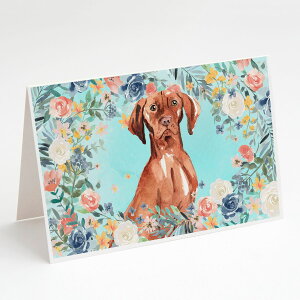 [��������] Caroline's Treasures Vizsla�O���[�e�B���O�J�[�h�A�����t���A5�C���` x 7�C���`�i8�J�E���g�j [�y�V�C�O�ʔ�] | Caroline's Treasures Vizsla Greeting Cards with Envelopes, 5" x 7" (8 Count)