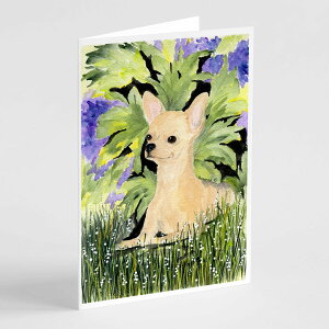 [��������] Caroline's Treasures �`�����̃O���[�e�B���O�J�[�h�A�����t���A5�C���`x7�C���`�i8�J�E���g�j [�y�V�C�O�ʔ�] | Caroline's Treasures Chihuahua Greeting Cards with Envelopes, 5" x 7" (8 Count)