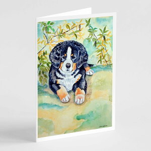 [RDY] [��������] Caroline's Treasures Bernese Mountain Dog Puppy Greeting Cards with Envelopes, 5 x 7 (8 Count) [�y�V�C�O�ʔ�] | Caroline's Treasures Bernese Mountain Dog Puppy Greeting Cards with Envelopes, 5 x 7 (8 Count)