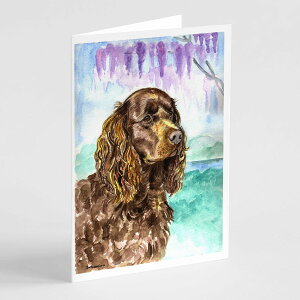 [] Caroline's Treasures AJEEH[^[EXpjGEO[eBOJ[hitjA5C` x 7C`i8JEg [yVCOʔ] | Caroline's Treasures American Water Spaniel