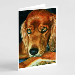 [RDY] [��������] Caroline's Treasures Irish Setter Serious Greeting Cards with Envelop, 5" x 7" (8 Count) [�y�V�C�O�ʔ�] | Caroline's Treasures Irish Setter Serious Greeting Cards with Envelopes, 5" x 7" (8 Count)