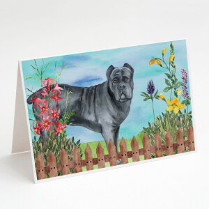 [RDY] [��������] Caroline's Treasures Cane Corso Spring Greeting Cards with Envelop, 5" x 7" (8 Count) [�y�V�C�O�ʔ�] | Caroline's Treasures Cane Corso Spring Greeting Cards with Envelopes, 5" x 7" (8 Count)