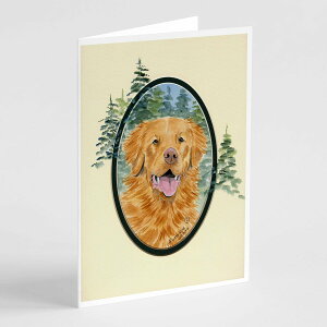 [RDY] [��������] �m�o�X�R�V�A�B�_�b�N�g���[�̃O���[�e�B���O�J�[�h�ƕ����i8������ [�y�V�C�O�ʔ�] | Nova Scotia Duck Toller Greeting Cards and Envelopes Pack of 8