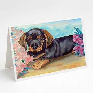 [RDY] [��������] Caroline's Treasures �_�b�N�X�t���g�E�O���[�e�B���O�J�[�h�i�����t���j�A5�C���` x 7�C���`�i8�J�E���g [�y�V�C�O�ʔ�] | Caroline's Treasures Dachshund Greeting Cards with Envelopes, 5 x 7 (8 C