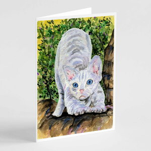 [RDY] [��������] Caroline's Treasures Cat Devon Rex Greeting Cards with Envelopes, 5 x 7 (8 Count) [�y�V�C�O�ʔ�] | Caroline's Treasures Cat Devon Rex Greeting Cards with Envelopes, 5 x 7 (8 Count)