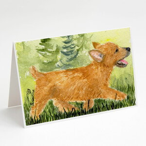 [��������] Caroline's Treasures �m�[���b�`�E�e���A �O���[�e�B���O�J�[�h�i�����t���j�A5�C���` x 7�C���`�i8�J�E���g [�y�V�C�O�ʔ�] | Caroline's Treasures Norwich Terrier Greeting Cards with Envelopes, 5