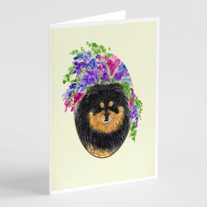 [RDY] [] Caroline's Treasures |jAEO[eBOJ[hAtA5C`x7C`i8JEgj [yVCOʔ] | Caroline's Treasures Pomeranian Greeting Cards with Envelopes, 5" x 7" (8 Count