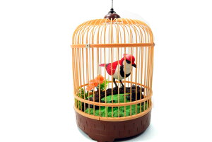 [RDY] [] ̖̒̒Ƃ - AȉƓ̂Mtg [yVCOʔ] | Singing  Chirping Bird In Cage - Realistic Sounds  Movements Toy or Gift