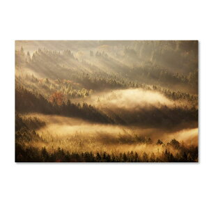 [RDY] [��������] Trademark Fine Art �}�[�e�B���E���b�N�̃L�����o�X�A�[�g�uAutumn Rays [�y�V�C�O�ʔ�] | Trademark Fine Art 'Autumn Rays' Canvas Art by Martin Rak