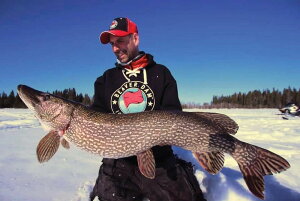 [RDY] [] Acme Tackle gNI tBbVOXv[ O[/O[ 3/4IX [yVCOʔ] | Acme Tackle Little Cleo Fishing Spoon Glow/Green 3/4 oz