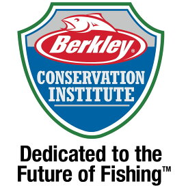 [RDY] [送料無料] Berkley フリッカーシャッドルアー3パック、アソートカラー [楽天海外通販] | Berkley Flicker Shad Fishing Lure 3 Pack, Assorted Colors