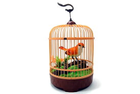 [RDY] [送料無料] PlayWorld Music Magic 鳥かごの中の鳥のさえずりとさえずり-リアルな音と動き-オレンジ [楽天海外通販] | PlayWorld Music Magic Singing & Chirping Bird In Cage - Realistic Sounds & Movements - Orange