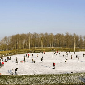 [RDY] [送料無料] Lake Placid サミット・ガールズ・アジャスタブル・アイス・スケート, M [楽天海外通販] | Lake Placid Summit Girls Adjustable Ice Skate, Medium