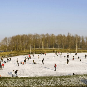 [RDY] [] Lake Placid T~bgEK[YEAWX^uEACXXP[gE[W [yVCOʔ] | Lake Placid Summit Girls Adjustable Ice Skate, Large