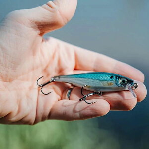 [��������] Rapala �J�E���g�_�E���~�m�[ 01 �t�B�b�V���O���A�[ 1 1/16 �V���o�[ [�y�V�C�O�ʔ�] | Rapala Countdown Minnow 01 Fishing Lure 1 1/16 Silver