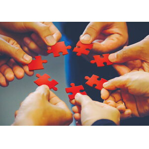 [] Hart Puzzles 1000s[X u[ACYE^CK[ by RE{[O AWO\[pY [yVCOʔ] | Hart Puzzles 1000-Piece Blue Eyes Tiger by Colin Bogle Interlocking Jigsaw Puzzle