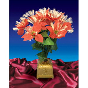 [RDY] [] Northlight 20C`t@Co[|CZ`A NX}Xvg [yVCOʔ] | Northlight 20 in. Pre Lit Fiber Optic Poinsettia Christmas Plant