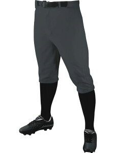 [] CHAMPRO {[CYEgvNEEjbJ[X^CE[XEx[X{[Epci\bhJ[A⋭XCfBOGAtjOt@CgA[W [yVC