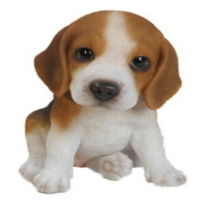 [RDY] [] Hi-Line Gift r[Ops[Ѓr[OEps[ [yVCOʔ] | HI-LINE GIFT LTD. BEAGLE PUPPY