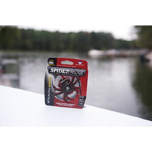 [RDY] [] Spiderwire XeX X[XEX[p[CAXO[A20|hb9kg tBbVOEC [yVCOʔ] | SpiderWire Stealth Smooth Superline, Moss Green, 20lb | 9kg Fishing