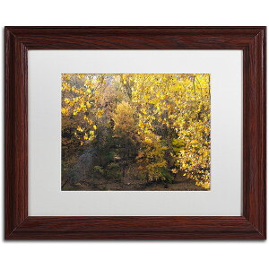 [RDY] [] Trademark Fine Art NgEVF[t@[ "Golden Autumn 2" LoXA[gAzCg}bgAؐt[ [yVCOʔ] | Trademark Fine Art "Golden Autumn 2" Canvas Art by Kurt Shaffer, Whit