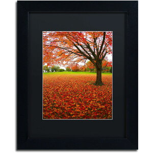 [RDY] [��������] Trademark Fine Art CATeyes�� "Autumn Expressions" �L�����o�X�A�[�g�A�u���b�N�}�b�g�A�u���b�N�t���[�� [�y�V�C�O�ʔ�] | Trademark Fine Art "Autumn Expressions" Canvas Art by CATeyes, Black Matte, Black F