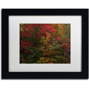 [RDY] [] Trademark Fine Art J[gEVF[t@[ "Why I Love Autumn" LoXA[gAzCg}bgAubNt[ [yVCOʔ] | Trademark Fine Art "Why I Love Autumn" Canvas Art by Kurt Sha