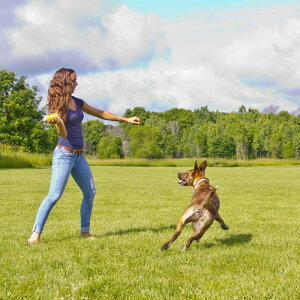 [] Hyper Pet SquawkerϋvTPRiCC^NeBuhbOgCAMOEmCYAWbNA~fBAAO[ [yVCOʔ] | Hyper Pet Squawker Durable TPR Nylon Interactive Dog