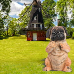 [] pOEps[EVbeBO [yVCOʔ] | Pug Puppy Sitting