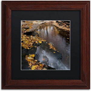 [RDY] [] Trademark Fine Art J[gEVF[t@[ "Lakeview Autumn Waterfall #2" LoXA[g ubN}bgAEbht[ [yVCOʔ] | Trademark Fine Art "Lakeview Autumn Waterfall #2" Canva