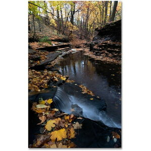 [RDY] [] Trademark Fine Art J[gEVF[t@[ "Autumn Stream" LoXA[g [yVCOʔ] | Trademark Fine Art "Autumn Stream" Canvas Art by Kurt Shaffer