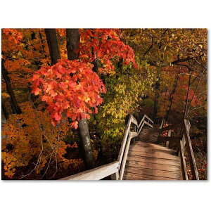 [] NgEVF[t@[ Trademark Fine Art "Brilliant Autumn Stairway" LoXA[g [yVCOʔ] | Trademark Fine Art "Brilliant Autumn Stairway" Canvas Art by Kurt Shaffer