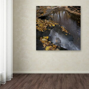 [RDY] [] Trademark Fine Art J[gEVF[t@[ "Lakeview Autumn Waterfall #2" LoXA[g [yVCOʔ] | Trademark Fine Art "Lakeview Autumn Waterfall #2" Canvas Art by Kurt Shaffer