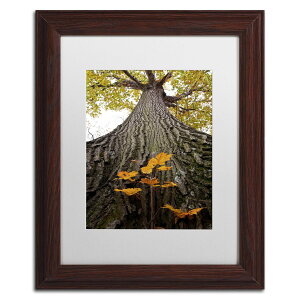 [RDY] [] Trademark Fine Art J[gEVF[t@[ "Aspiring to New Heights" LoXA[gAzCg}bgAubNt[ [yVCOʔ] | Trademark Fine Art "Aspiring to New Heights" Canvas Art