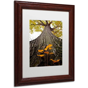 [] Trademark Fine Art J[gEVF[t@[ "Aspiring to New Heights" LoXA[gAzCg}bgAؐt[ [yVCOʔ] | Trademark Fine Art "Aspiring to New Heights" Canvas Art by Ku