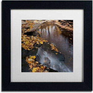 [RDY] [] Trademark Fine Art J[gEVF[t@[ "Lakeview Autumn Waterfall #2" LoXA[g zCg}bgAubNt[ [yVCOʔ] | Trademark Fine Art "Lakeview Autumn Waterfall #2" Ca