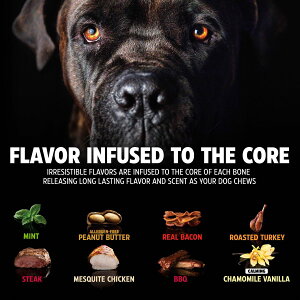 [RDY] [] Pet Qwerks BarkBone i`CXeBNg Ebh_Ci\[ iC{[ pނAs[ibco^[AXL 11C`AxɊސlp [yVCO