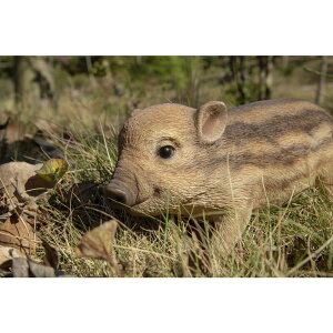 [RDY] [] nCC MtgCmVV̐ԂX^fBO [yVCOʔ] | Hi-Line Gift Ltd. Wild Baby Boar Standing