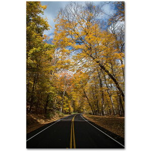 [RDY] [] J[gEVF[t@[ "Autumn Along the Valley Parkway 2" LoXA[g [yVCOʔ] | "Autumn Along the Valley Parkway 2" Canvas Art by Kurt Shaffer