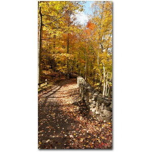 [RDY] [��������] �N���g�E�V�F�[�t�@�[�� Trademark Fine Art "Beautiful Autumn Hike" �L�����o�X�A�[�g [�y�V�C�O�ʔ�] | Trademark Fine Art "Beautiful Autumn Hike" Canvas Art by Kurt Shaffer