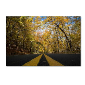 [] NgEVF[t@[ Trademark Fine Art "Autumn Along the Valley Parkway" LoXA[g [yVCOʔ] | Trademark Fine Art "Autumn Along the Valley Parkway" Canvas Art by Kurt Shaffer