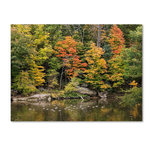 [RDY] [] NgEVF[t@[ Trademark Fine Art "Early Fall" LoXA[g [yVCOʔ] | Trademark Fine Art "Early Fall" Canvas Art by Kurt Shaffer