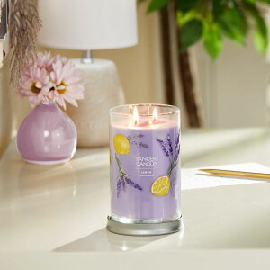 [��������] Yankee Candle �������E���x���_�[�E�L�����h���i�p�[�v���j 20�I���X [�y�V�C�O�ʔ�] | Yankee Candle Lemon Lavender Signature Large Tumbler Candle, Purple, 20 oz